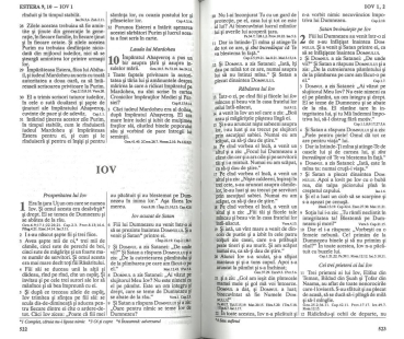 Bibel Rumänisch